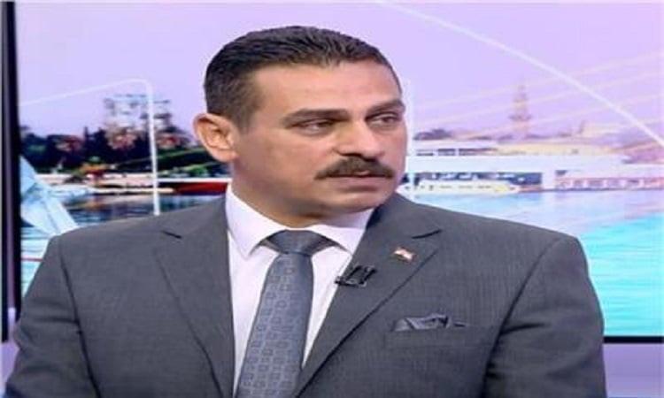 الدكتور محمد البهواشي الخبير الاقتصادي