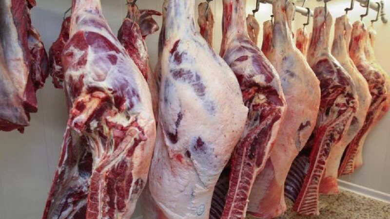 أسعار اللحوم اليوم
