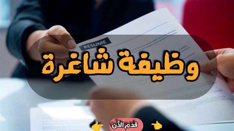وظائف للشباب 2024 في وزارة الشباب والرياضة