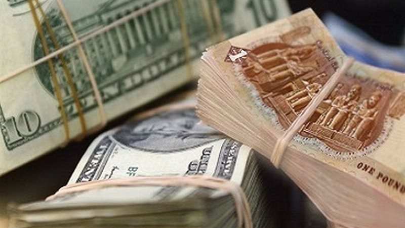 الدولار مقابل الجنيه المصري اليوم