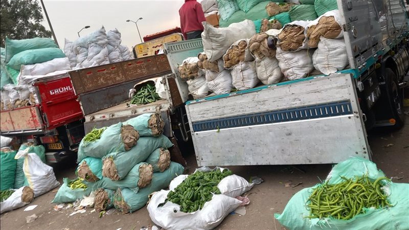 أسعار الخضروات في سوق العبور اليوم