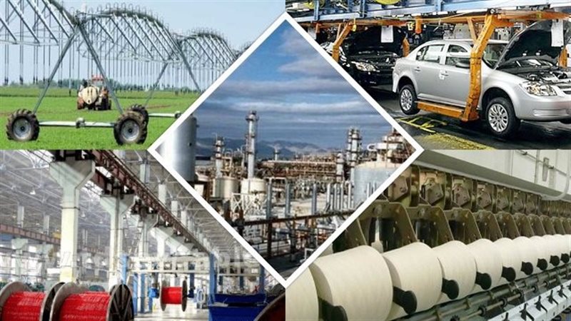 دور القطاع الخاص في دعم الاقتصاد 