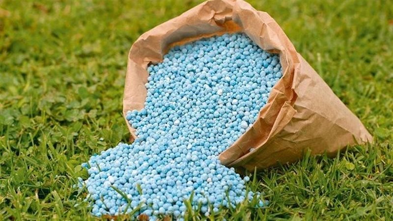  أسهم شركات الأسمدة المدرجة في البورصة