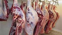 حقيقة زيادة أسعار اللحوم في مصر، نقيب الفلاحين يكشف التفاصيل