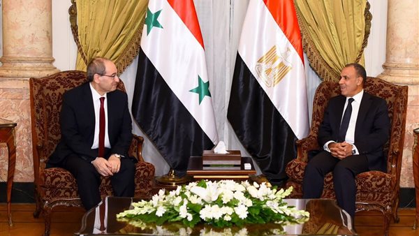 وزير الخارجية المصري ونظيره السوري