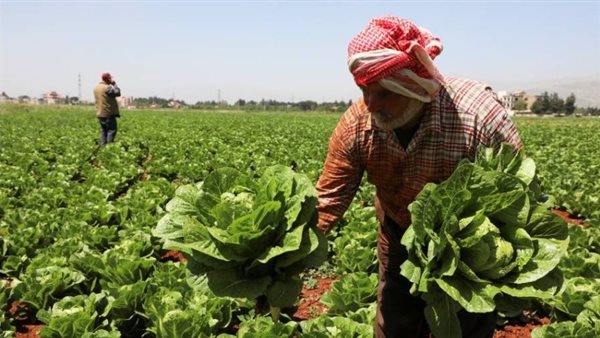 أهم التوصيات والاحتياطات التى يجب اتباعها الفترة المقبلة