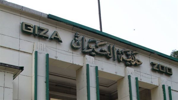 متى تفتح حديقة الحيوان بالجيزة بعد التجديد