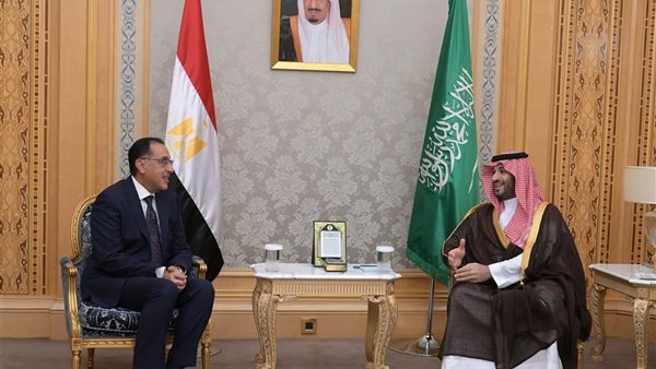 ولي العهد السعودي ورئيس الوزراء المصري 