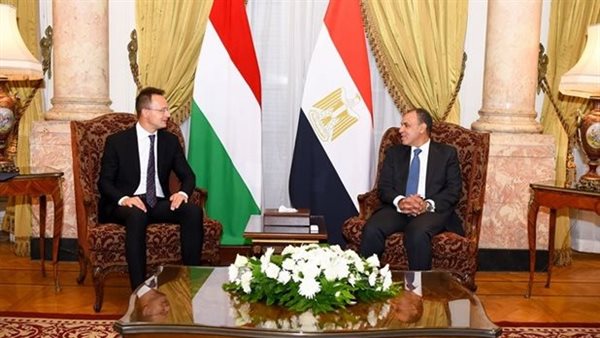 وزير الخارجية المصري ونظيرة المجري 