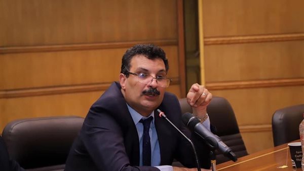 الدكتور سيد طه بدوي رئيس قسم المالية العامة 