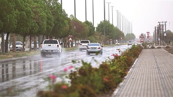 أمطار خفيفة 