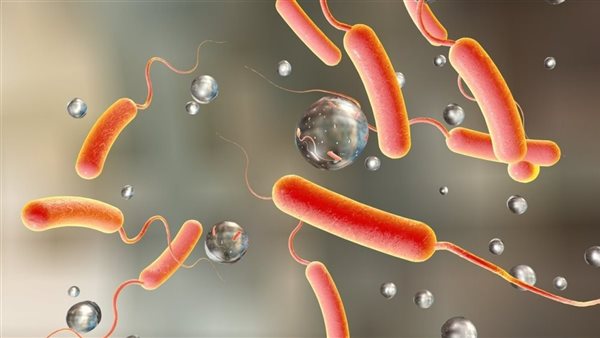 مرض الكوليرا.. كيفية انتقاله وأعراض الإصابة بالمرض؟