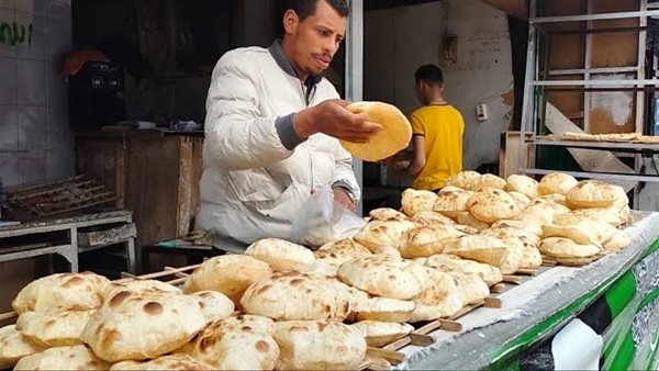 حقيقة ارتفاع أسعار الخبز