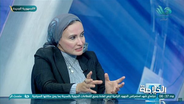 وكيل كلية الاعلام بجامعة القاهرة