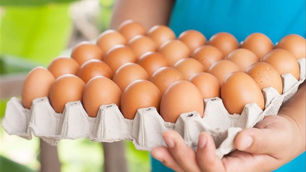 سعر كرتونة البيض 