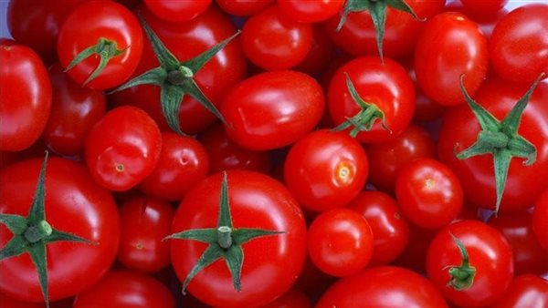 انخفاض 5 جنيهات في أسعار الطماطم بالأسواق