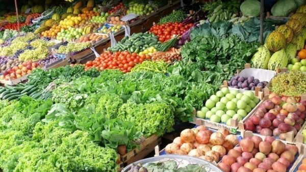 مبادرة من الغيط للبيت