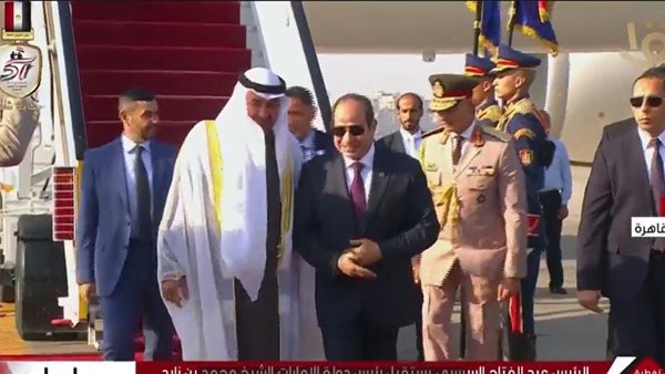 الرئيس السيسي ورئيس دولة الإمارات 