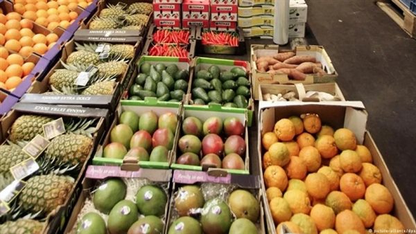 صادرات الزراعة المصرية