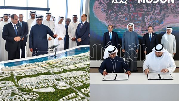 ما هي الشركات التي تعمل في مشروع راس الحكمه