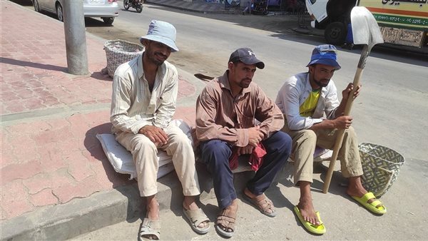 عمال التراحيل 