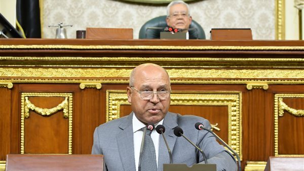 الفريق مهندس كامل الوزير نائب رئيس الوزراء