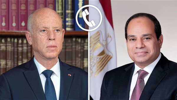 الرئيس السيسي والرئيس التونسي قيس سعيد