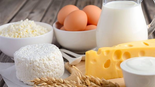 منتجات الألبان