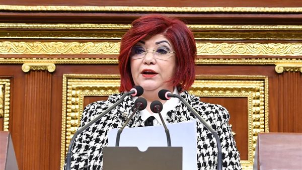 النائبة نورا علي، رئيس لجنة السياحة والطيران بـ مجلس النواب