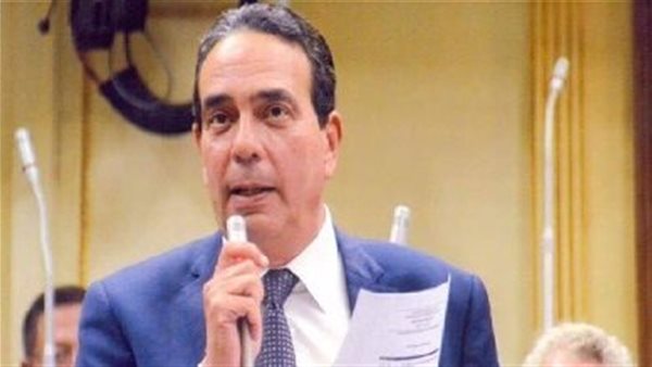 الدكتور أيمن ابو العلا وكيل لجنة حقوق الانسان بمجلس النواب