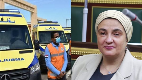 النائبة سميرة الجزار