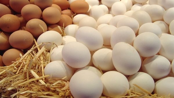 استيراد البيض من تركيا