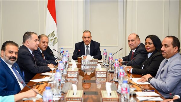 لقاء وزير الخارجية مع لجنة الشئون الإفريقية