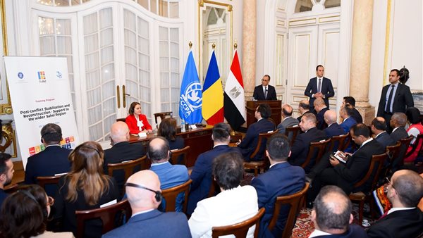 وزيري خارجية مصر ورومانيا خلال جلسة مباحثاات