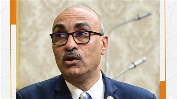 المهندس إيهاب منصور عضو البرلمان 
