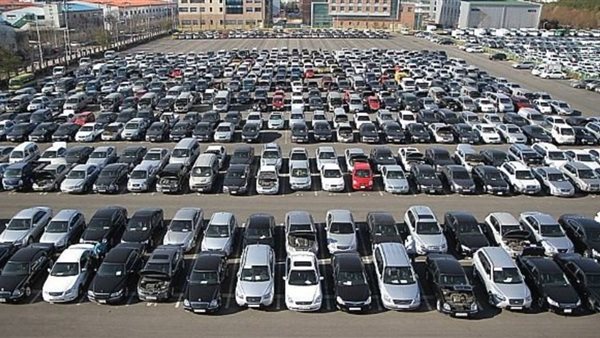 توقعات أسعار السيارات في مصر 2025