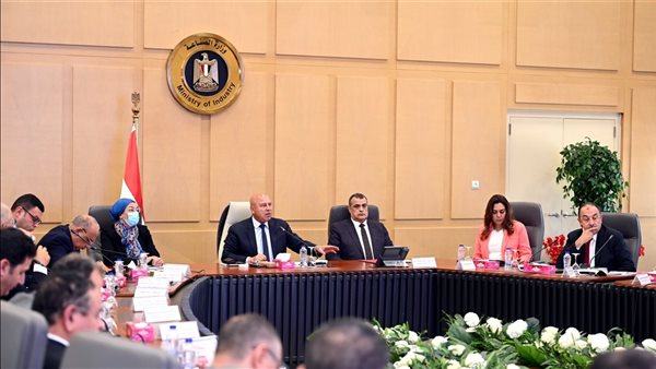 الفريق مهندس كامل الوزير، نائب رئيس الوزراء