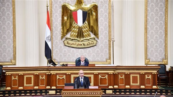 وزير التربية والتعليم أمام مجلس النواب