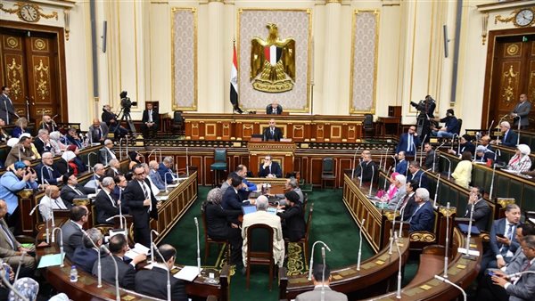 وزير التربية والتعليم أمام مجلس النواب