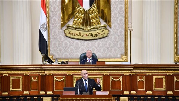 وزير التربية والتعليم أمام مجلس النواب