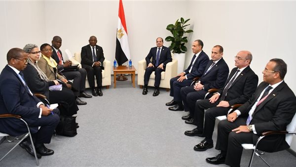 الرئيس السيسى ونظيره الجنوب أفريقى