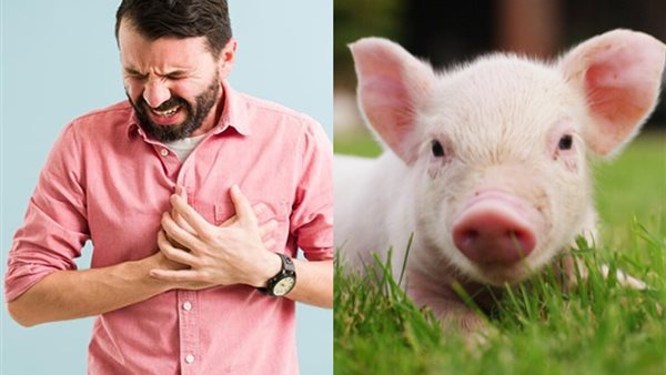 هل يمكن عودة المتوفى للحياة مرة أخرى