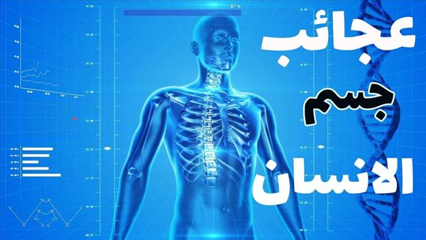 أخطر عضو في جسم الإنسان