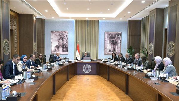 رئيس مجلس الوزراء اجتماعاً لبحث آلية تعديل حدود الكربون