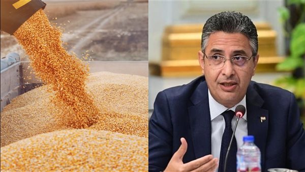 وزير التموين يعلق على زيادة رسوم تصدير القمح الروسي