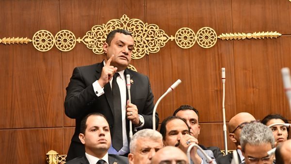 النائب أكمل نجاتي أمين سر لجنة الشئون المالية 