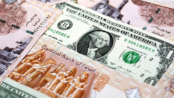 توقعات سعر الدولار 2025 في السوق السوداء