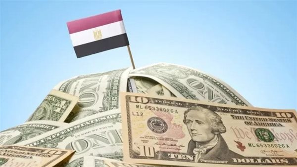قرار الحكومة بتشكيل لجنة لإدارة الدين الخارجي