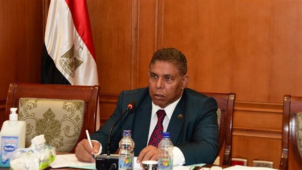 سيد عوض، عضو مجلس النواب