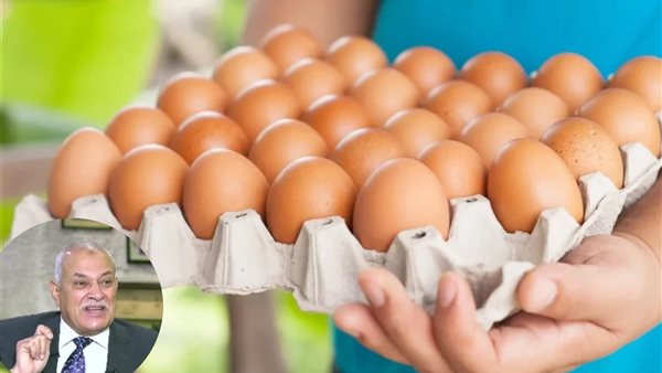 الدكتور عبد العزيز السيد رئيس شعبة الدواجن